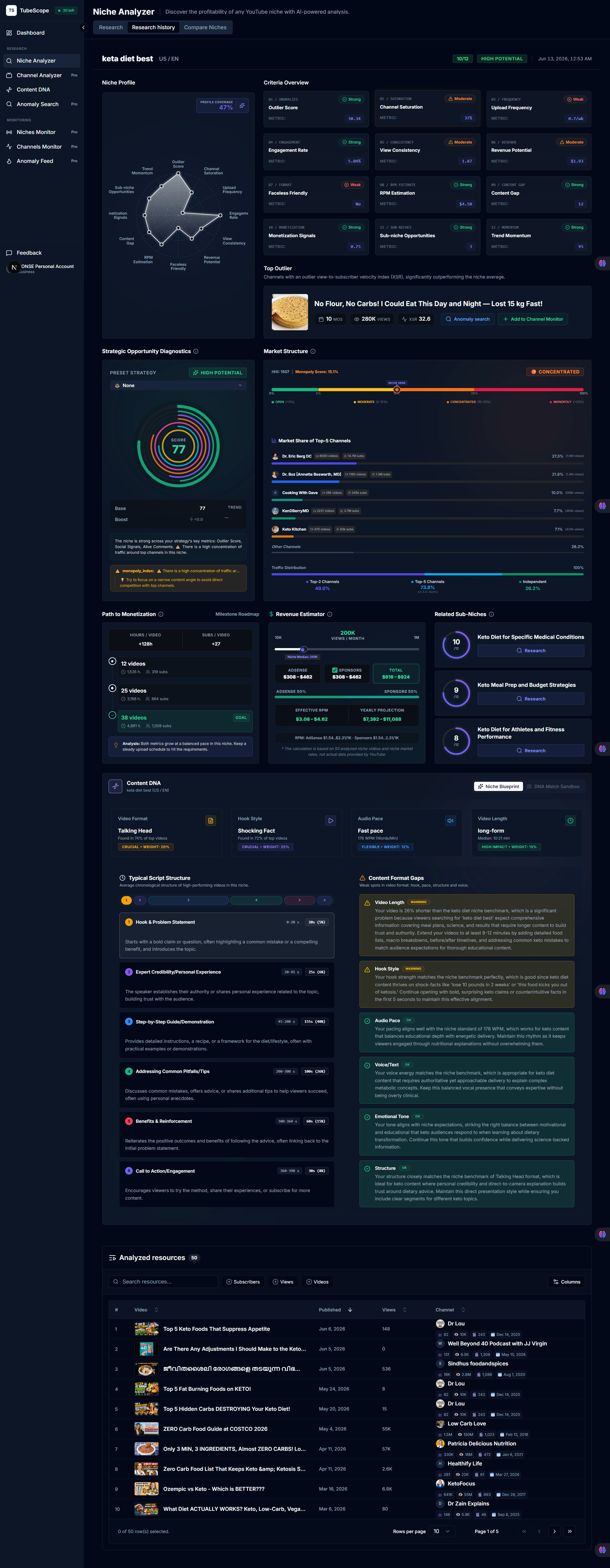 Niche Analysis Report Preview